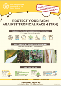 Protect your farm against Tropical Race 4 (TR4)